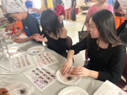 Wagashi kit experience